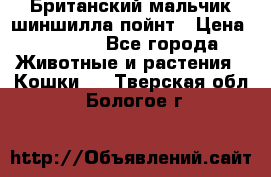 Британский мальчик шиншилла-пойнт › Цена ­ 5 000 - Все города Животные и растения » Кошки   . Тверская обл.,Бологое г.